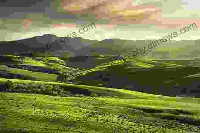 A Breathtaking Landscape Of Rolling Hills And Ancient Forests, The Setting For The Epic Journey In Warriors Of Camlann Browne. Warriors Of Camlann N M Browne