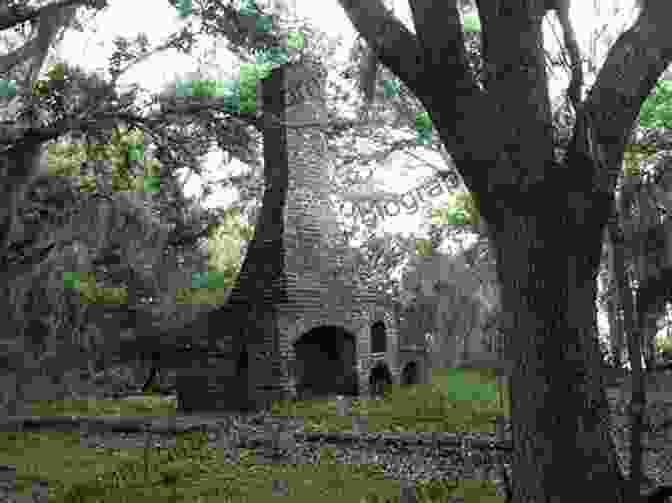 A Group Of People Exploring The Ruins Of An Old Plantation On St. Simons Island Tracking The Golden Isles: The Natural And Human Histories Of The Georgia Coast (Wormsloe Foundation Publication 40)