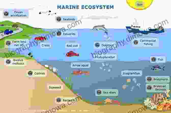 An Illustration Depicting The Interconnectedness Of Various Components Within A Marine Ecosystem, Emphasizing The Significance Of Understanding These Dynamics For Successful Fishing. The Bouncer Smith Guidebook To Saltwater Game Fsih: Florida And The Bahamas Islands (The Bouncer Smith Chronicles A Lifetime Of Fishing)