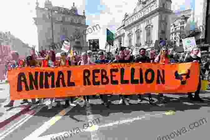 Animal Rights Activists Holding Signs Demanding Equal Protection For All Animals Gender And Sexuality In Critical Animal Studies (Critical Animal Studies And Theory)