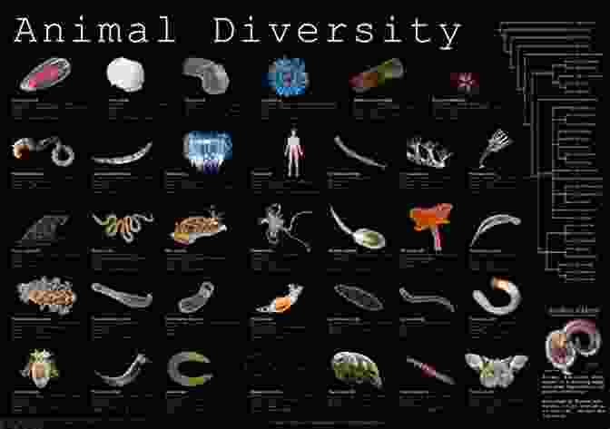 Group Of Diverse Animals Representing Queer Identities Gender And Sexuality In Critical Animal Studies (Critical Animal Studies And Theory)