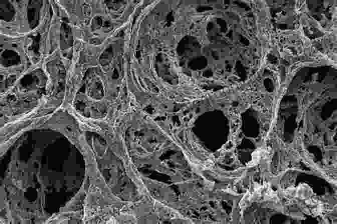 Nanoporous Metal Under A Microscope, Showcasing Its Intricate Porous Structure. Nanoporous Metals For Advanced Energy Technologies