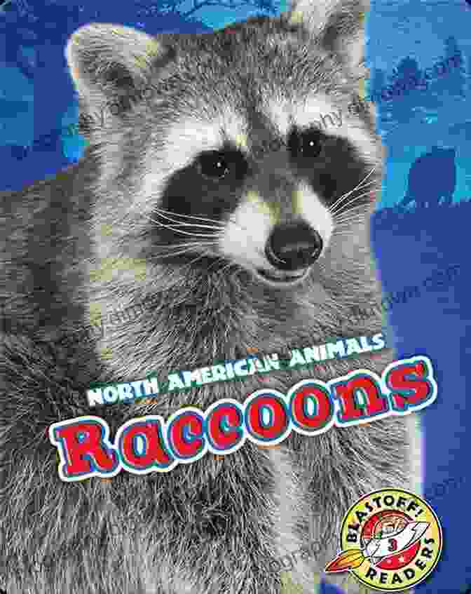 National Geographic Readers: Animals In The City Book Cover Featuring A Raccoon On A City Rooftop National Geographic Readers: Animals In The City (L2)