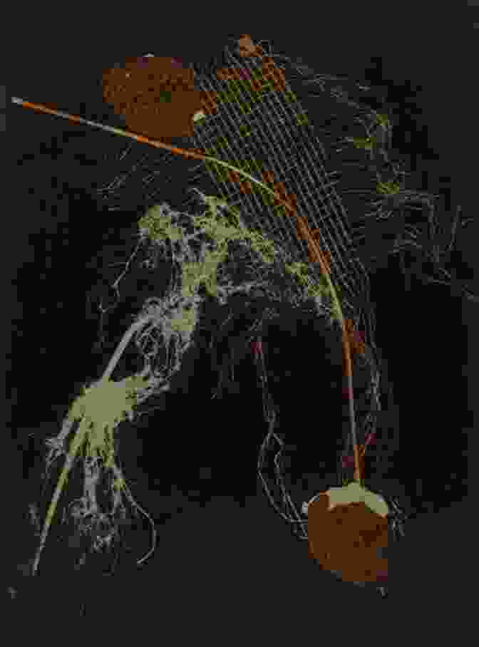 Nature And Technology Intermingling In A Contemporary Artwork Posthuman And Nonhuman Entanglements In Contemporary Art And The Body (Routledge Advances In Art And Visual Studies)