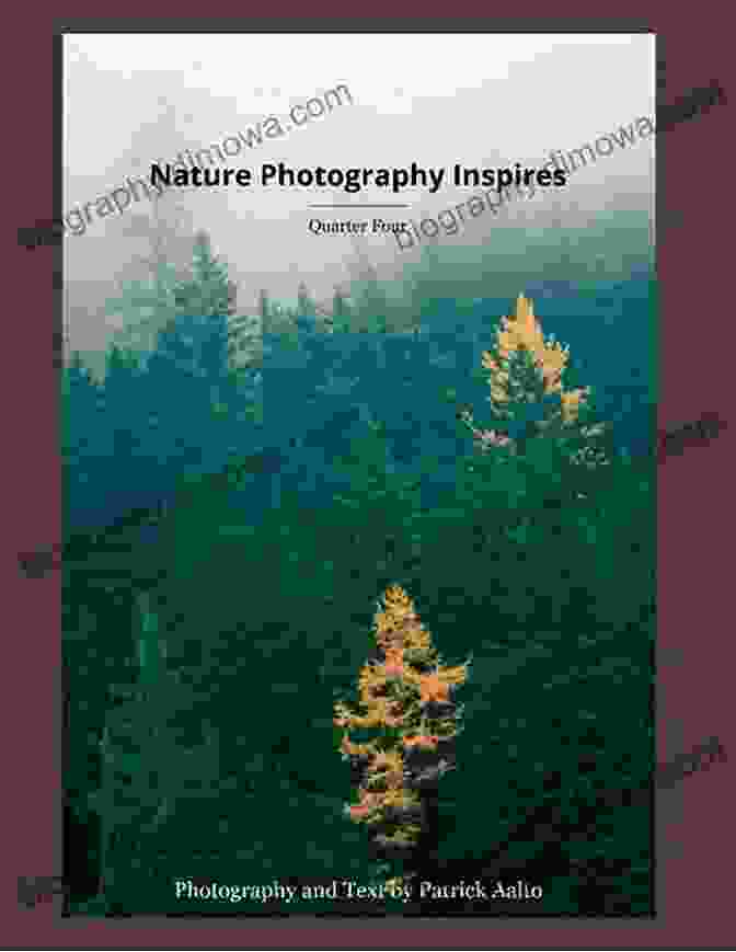 Nature Photography That Inspires A Sense Of Wanderlust And A Desire To Explore The Untamed Beauty Of The Natural World. Naughty By Nature (3:AM Kisses Hollow Brook 4)