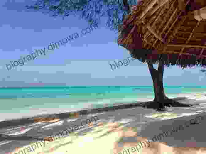 Zanzibar, Pemba, And Mafia Islands Zanzibar: Pemba Mafia (Bradt Travel Guides)