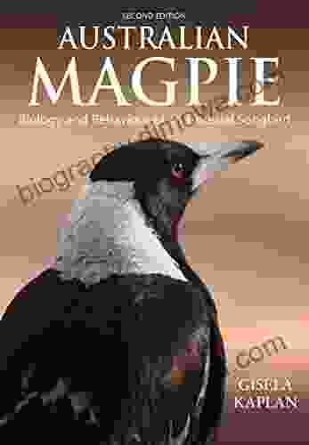 Australian Magpie: Biology And Behaviour Of An Unusual Songbird