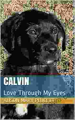 Calvin: Love Through My Eyes