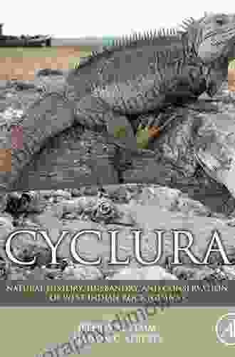 Cyclura: Natural History Husbandry And Conservation Of West Indian Rock Iguanas (Noyes In Animal Behavior Ecology Conservation And Management)