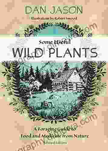 Some Useful Wild Plants: A Foraging Guide To Food And Medicine From Nature