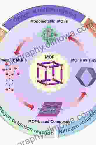 Functional Metal Organic Frameworks: Gas Storage Separation And Catalysis (Topics In Current Chemistry 293)