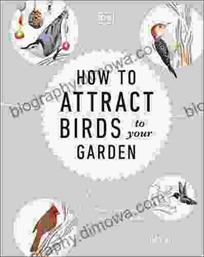 How To Attract Birds To Your Garden: Foods They Like Plants They Love Shelter They Need