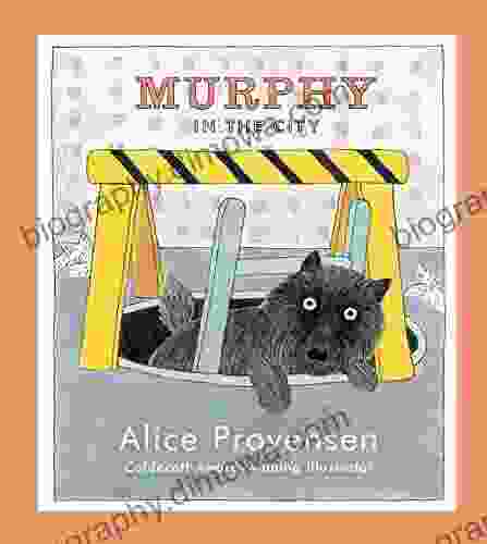 Murphy In The City Alice Provensen