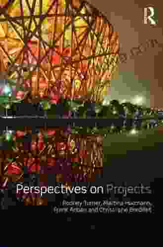 Perspectives On Projects