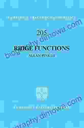 Ridge Functions (Cambridge Tracts In Mathematics 205)