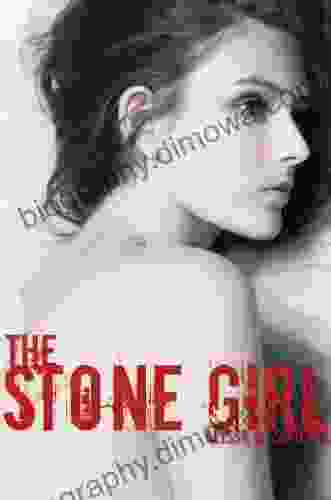 The Stone Girl Alyssa Sheinmel